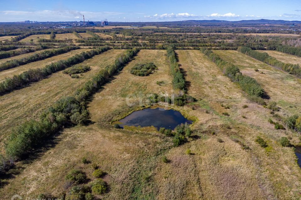 земля р-н Хабаровский фото 2