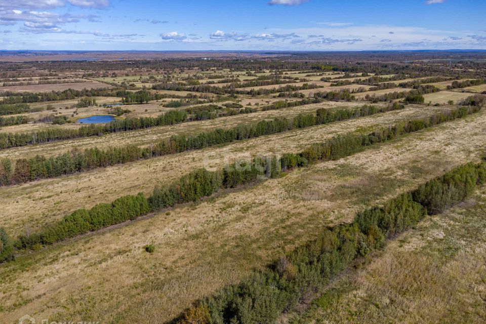 земля р-н Хабаровский фото 4