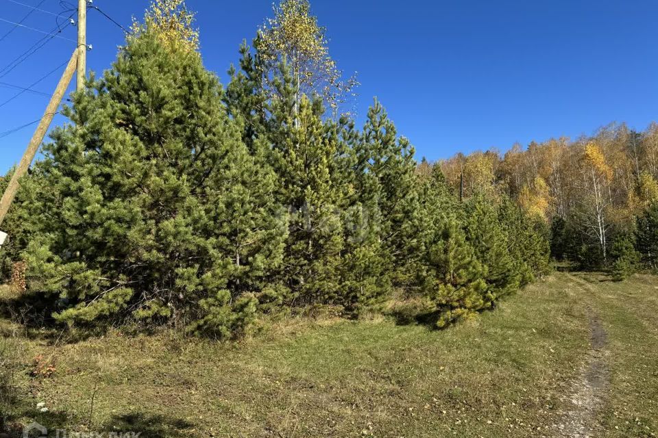 земля Миасский городской округ, с. Черновское фото 4