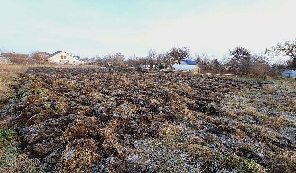 земля р-н Анапский п Суворов-Черкесский Анапа городской округ, Степная фото 6