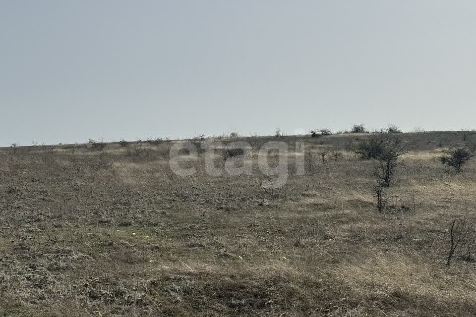 земля р-н Симферопольский фото 5