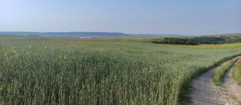 земля р-н Бахчисарайский с. Маловидное фото 2