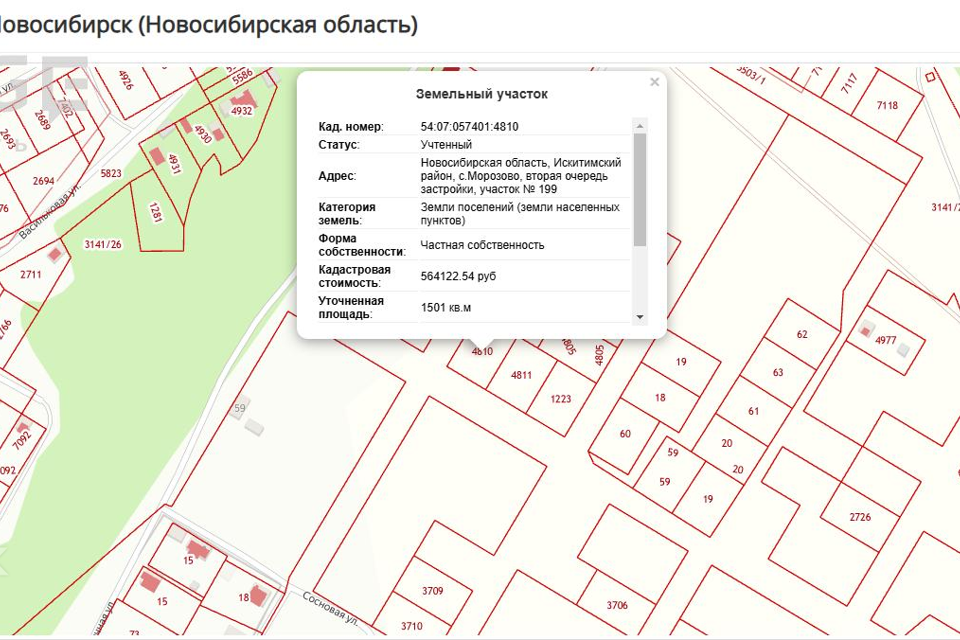 земля р-н Искитимский с. Морозово фото 1