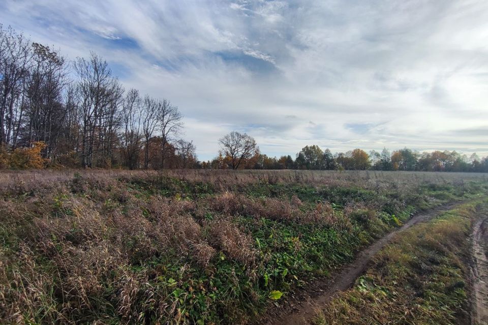 земля р-н Новгородский д. Дубровка Борковское сп фото 10