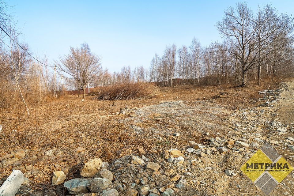 земля г Артем Артёмовский городской округ, СНТ Лотос фото 5