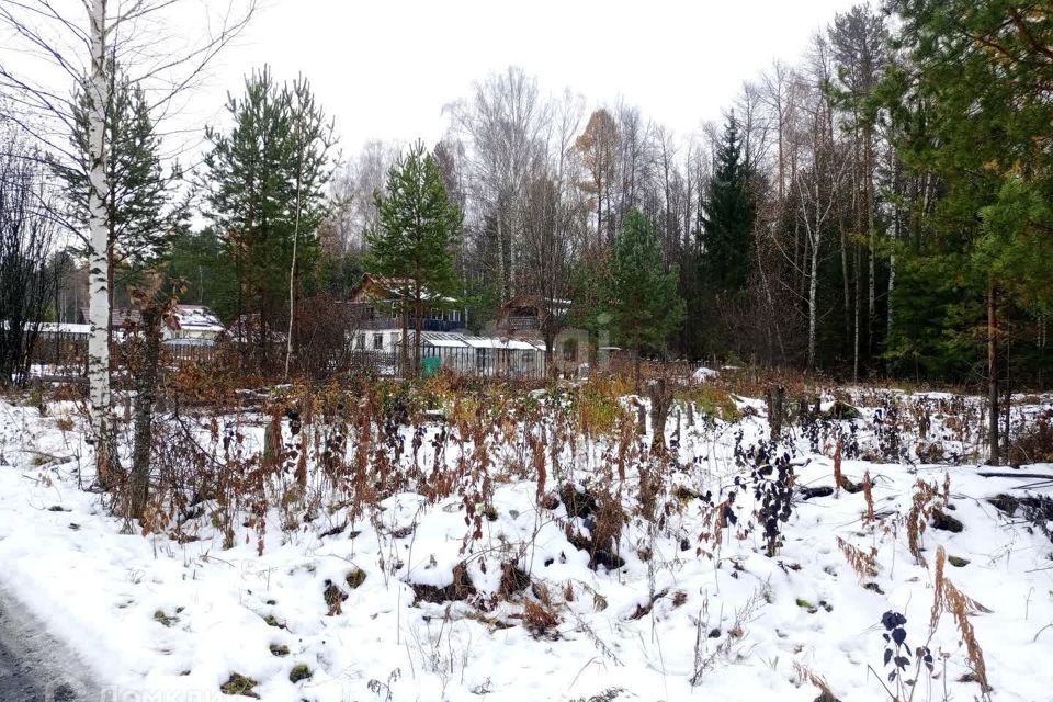 земля г Верхняя Салда Придворцовая площадь, Верхнесалдинский городской округ фото 6