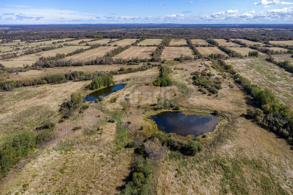 земля р-н Хабаровский фото 5