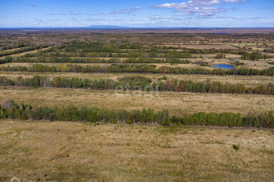 земля р-н Хабаровский фото 5