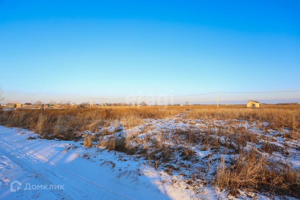 земля р-н Хабаровский с. Тополево фото 7