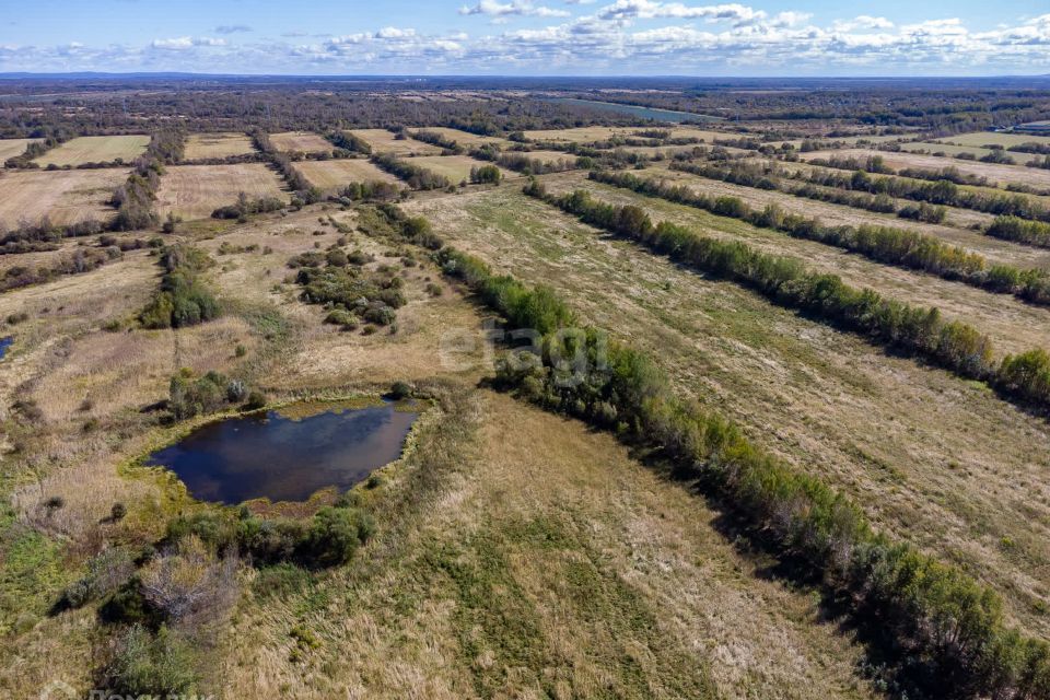 земля р-н Хабаровский фото 10