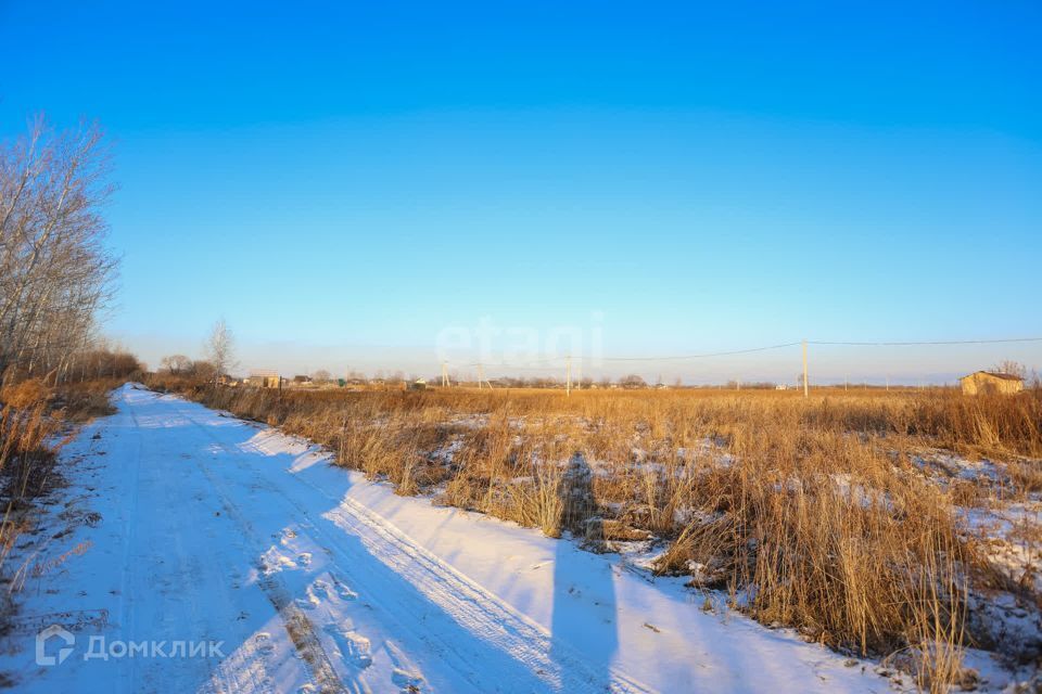 земля р-н Хабаровский с. Тополево фото 10