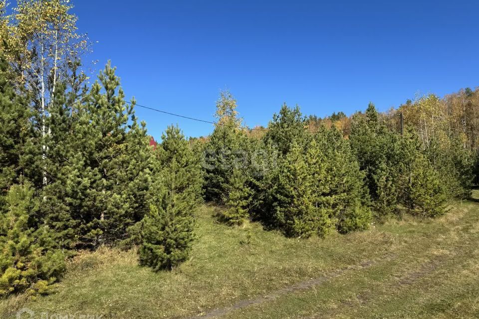 земля Миасский городской округ, с. Черновское фото 5