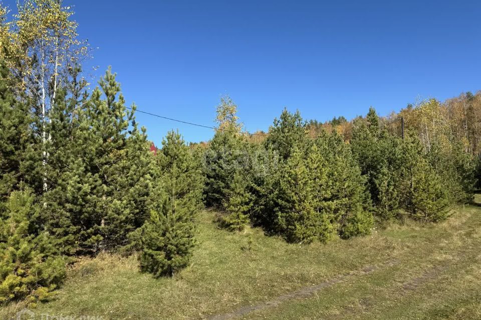 земля Миасский городской округ, с. Черновское фото 6