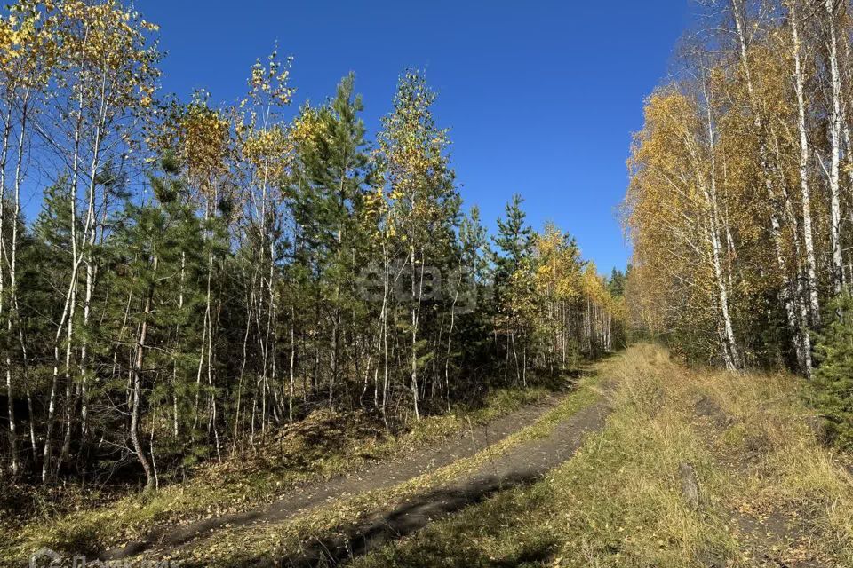 земля Миасский городской округ, с. Черновское фото 7