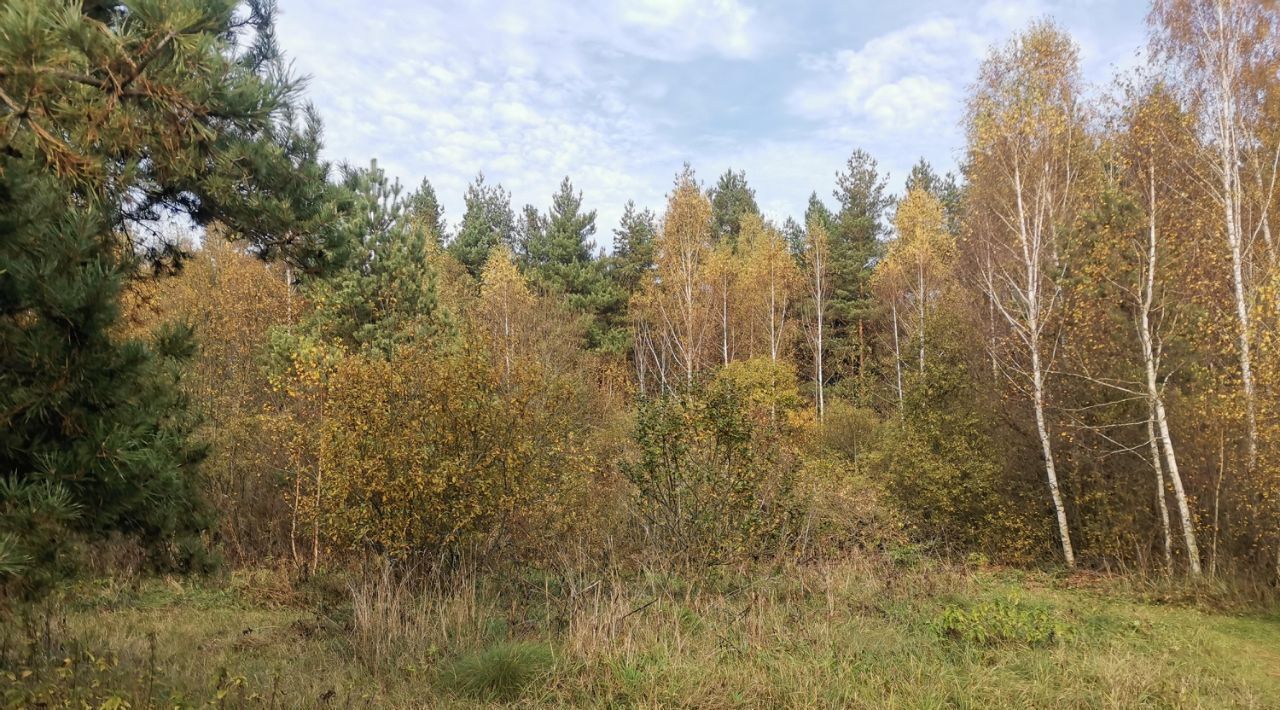 земля городской округ Орехово-Зуевский д Молоково фото 2