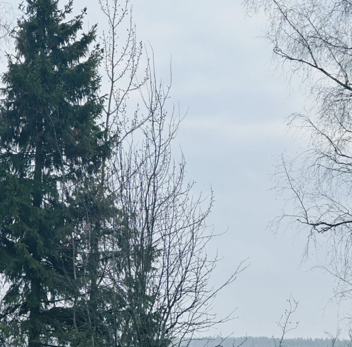 земля городской округ Егорьевск д Дёминская снт Родники фото 8