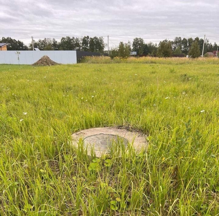 земля городской округ Раменский 50529 кв-л фото 3