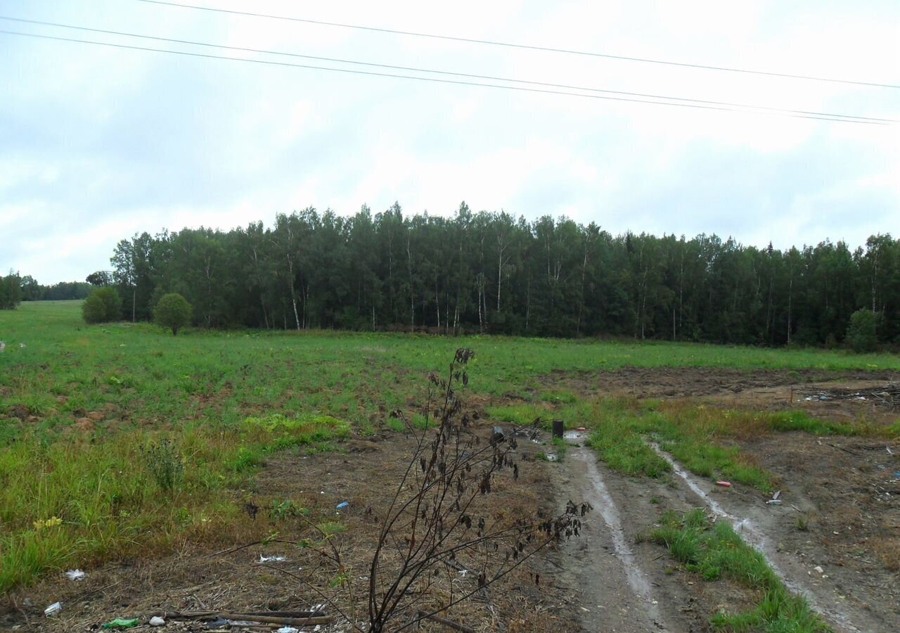 земля городской округ Можайский п Уваровка 121 км, д. Александровка, Минское шоссе фото 8