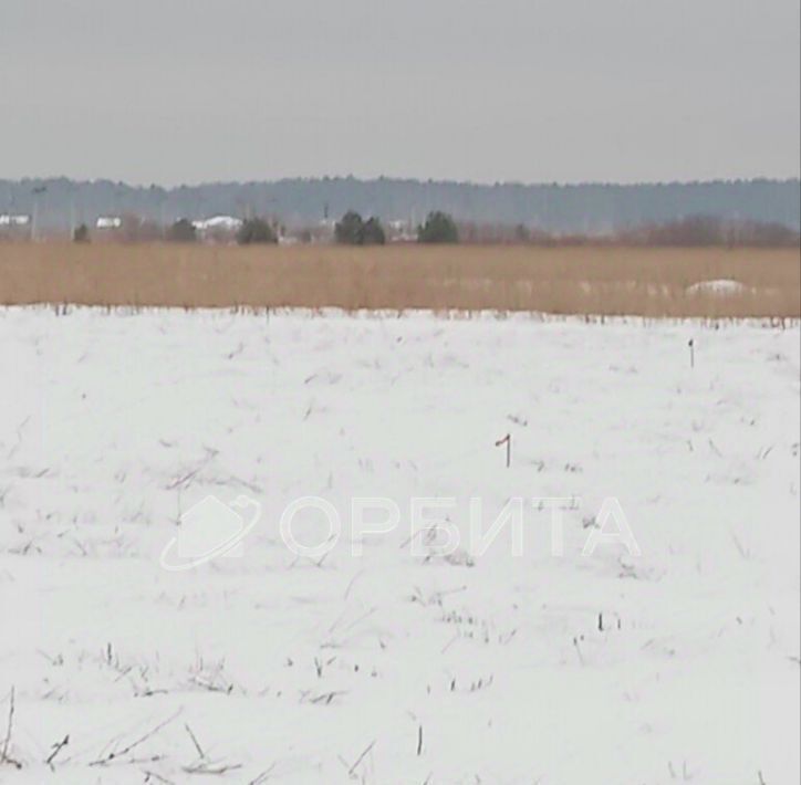 земля р-н Тюменский тер ДНТ Воскресенье 1 ул Весенняя фото 4