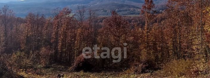 земля г Геленджик тер. ДНТ Океан фото 4