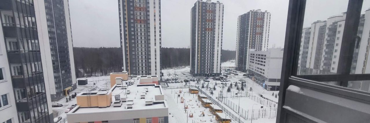 квартира г Санкт-Петербург метро Проспект Просвещения пр-кт Орлово-Денисовский 15к/1 фото 20