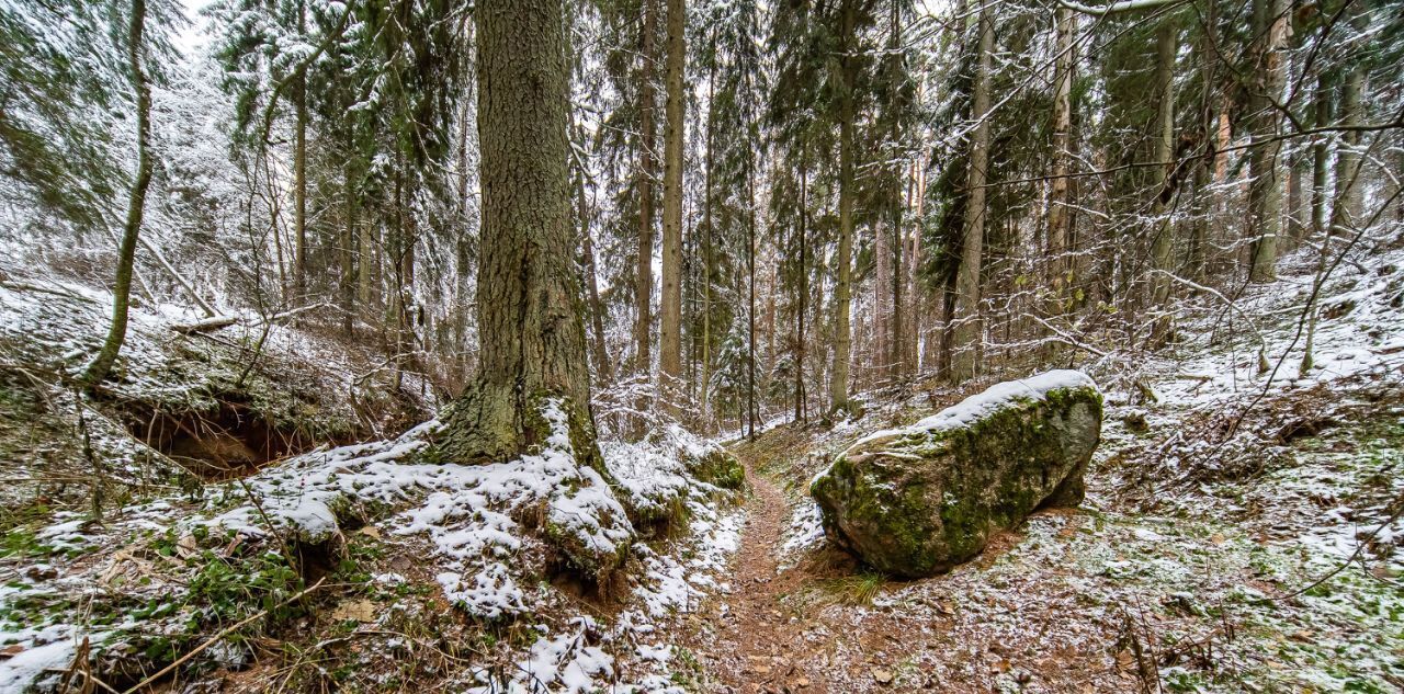 земля р-н Гатчинский д Новосиверская фото 10