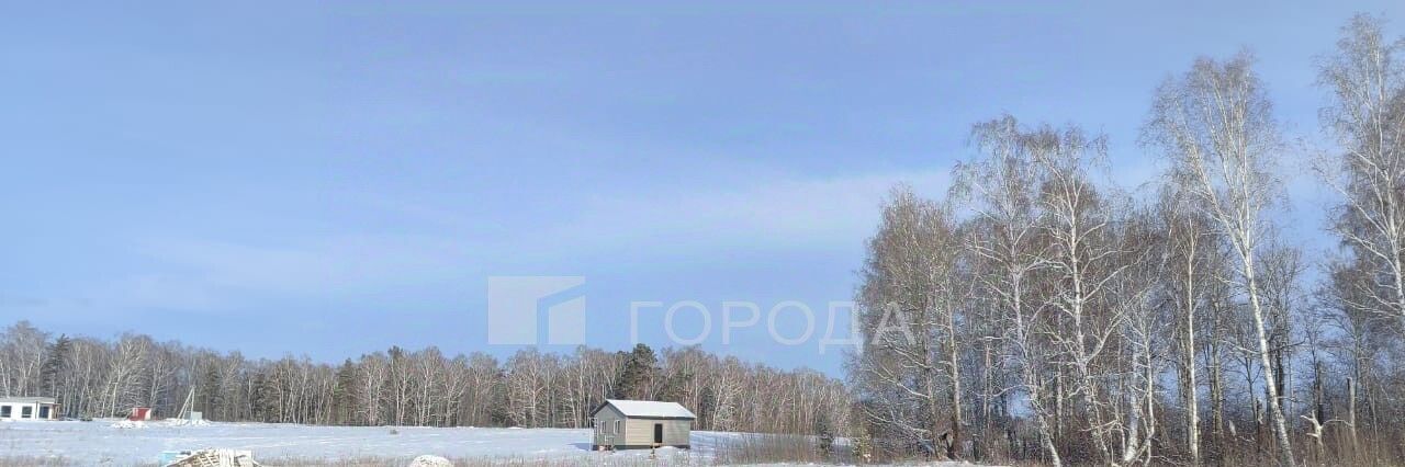 земля р-н Первомайский с Фирсово ул. Кедровая фото 11