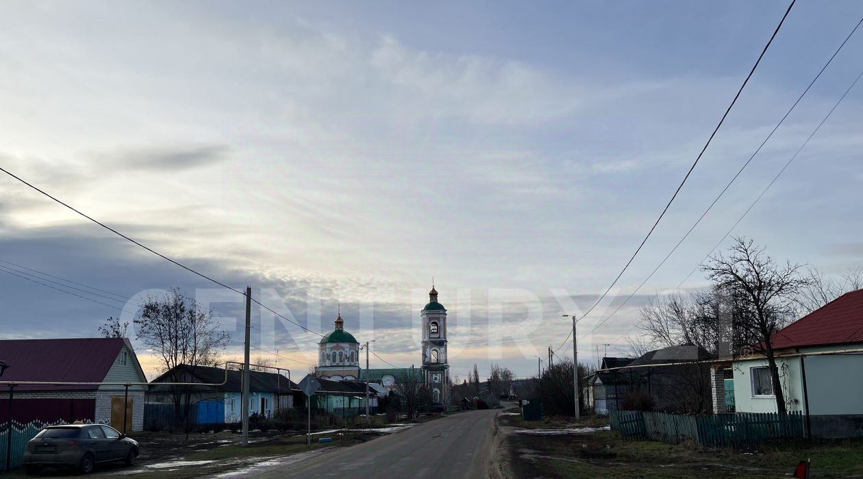 земля р-н Данковский с Требунки ул Центральная 247 сельсовет, Требунский фото 4