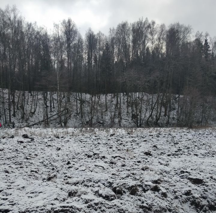 земля г Подольск д Пузиково Подольск фото 1