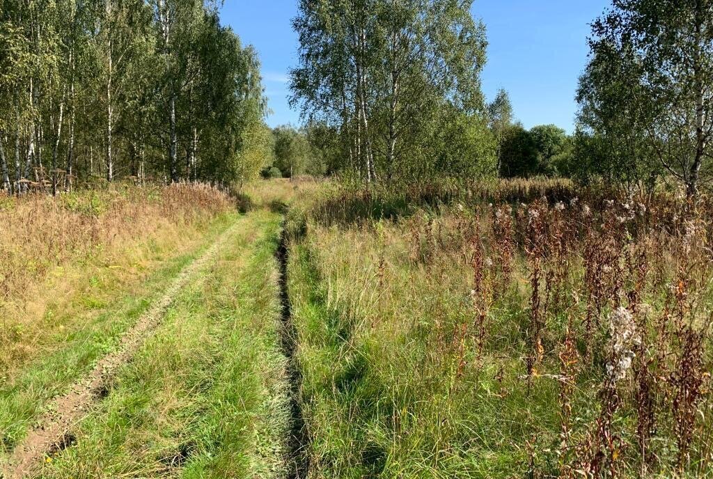 земля городской округ Рузский д Вараксино фото 6