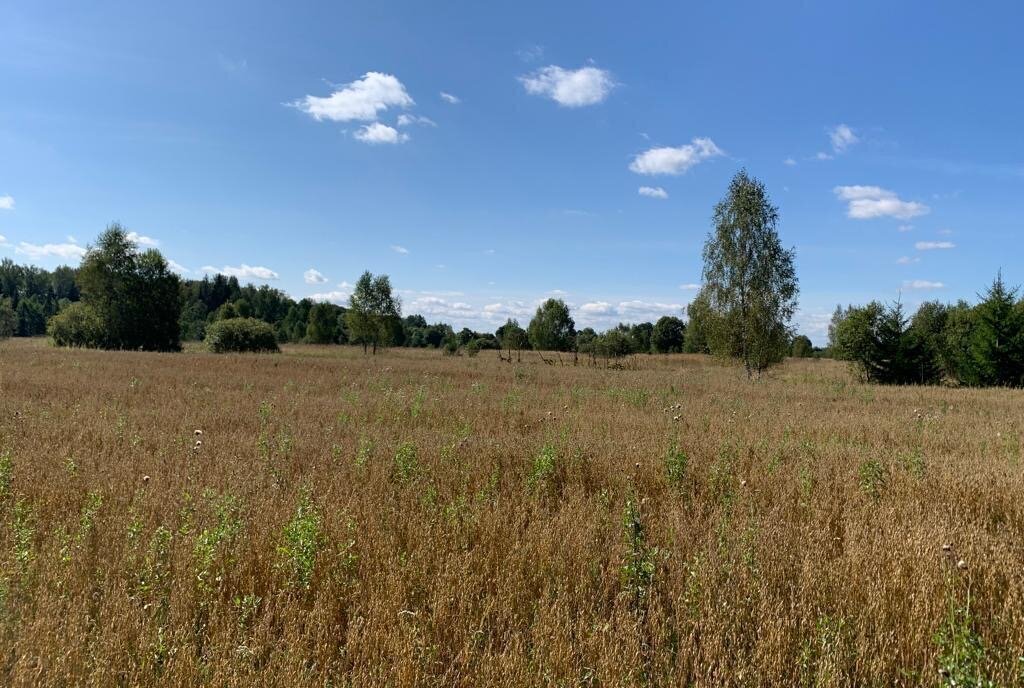 земля городской округ Рузский д Вараксино фото 10