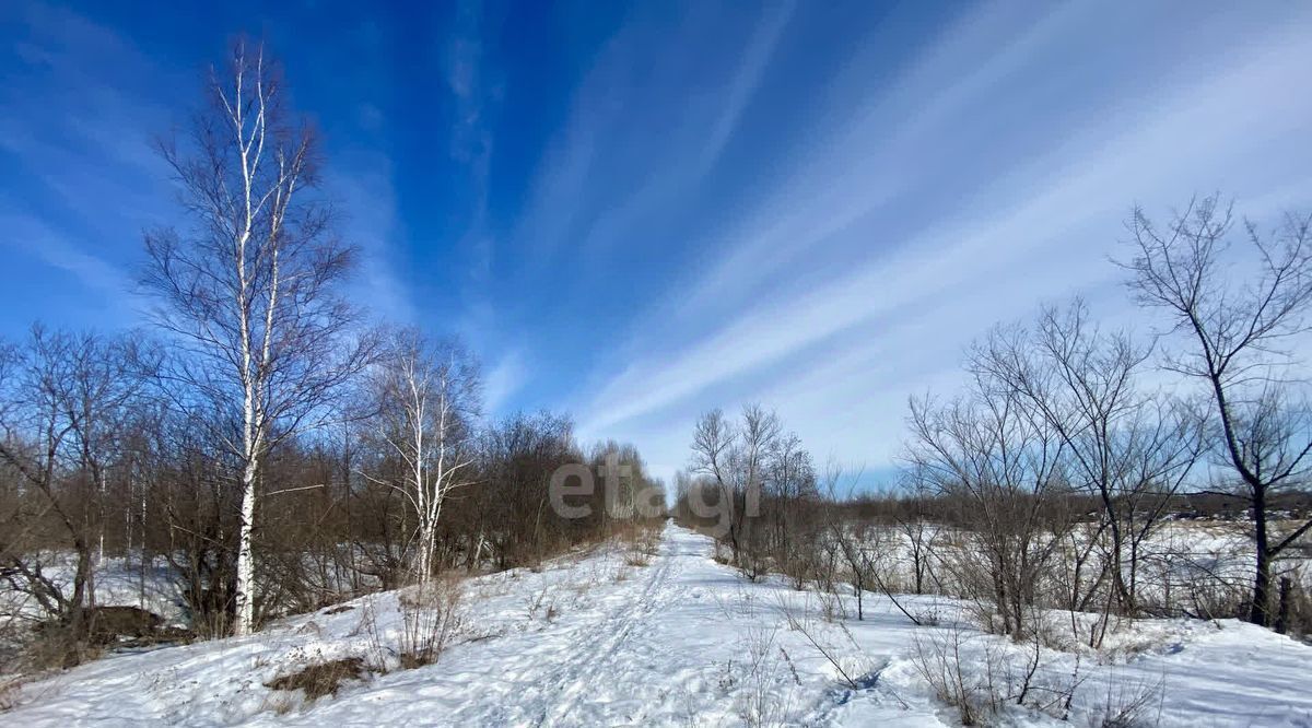 земля р-н Хабаровский с Мирное фото 15