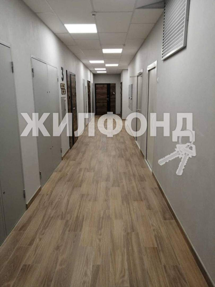 квартира г Новосибирск р-н Ленинский пл Райсовета 14 ЖК «Парково» Площадь Маркса фото 18