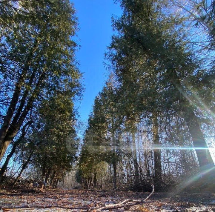 дом р-н Ленинский д Скобелево 49, Тула городской округ фото 22