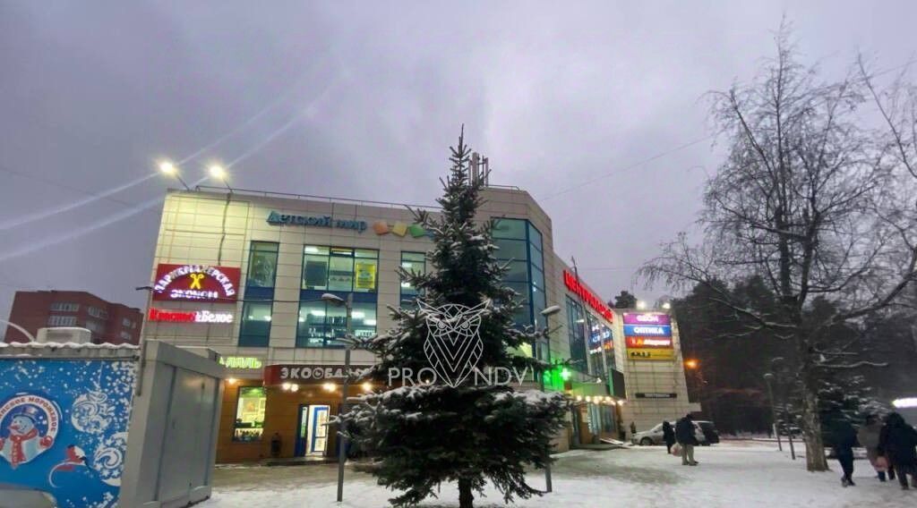 квартира городской округ Пушкинский г Красноармейск ул Новая Жизнь 8а ВДНХ фото 31