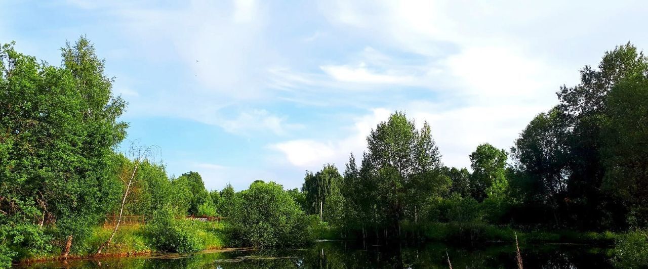 квартира городской округ Чехов д Чепелёво ул Новая фото 22