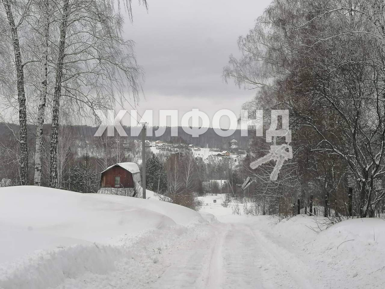 земля р-н Новосибирский Ключи-3 территория снт фото 6