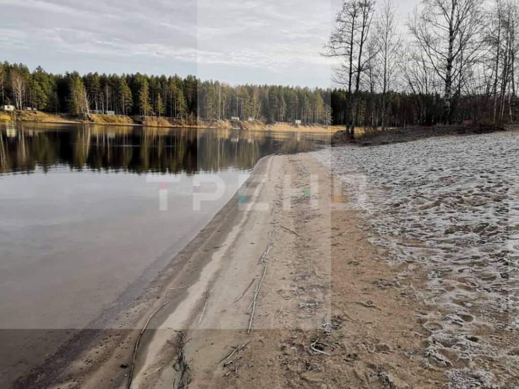 земля р-н Выборгский п Барышево пр-д Яблоневый фото 22