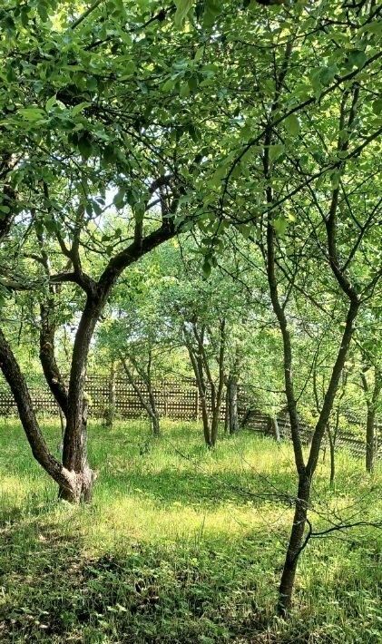 дом р-н Бабынинский д Харское 20, Воротынск городское поселение фото 4