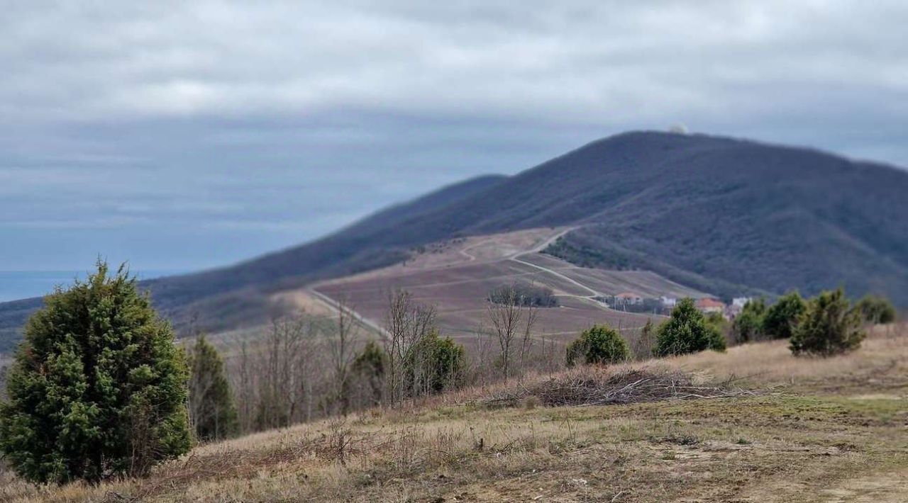 земля г Новороссийск с Федотовка снт Щит фото 6