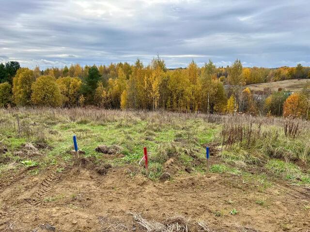 Всеволожский район, Парнас, Массив Скотное территория, Новоприозерское шоссе фото