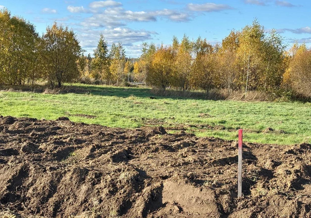 земля р-н Всеволожский д Скотное ул Ленинградская Парнас, Новоприозерское шоссе фото 1