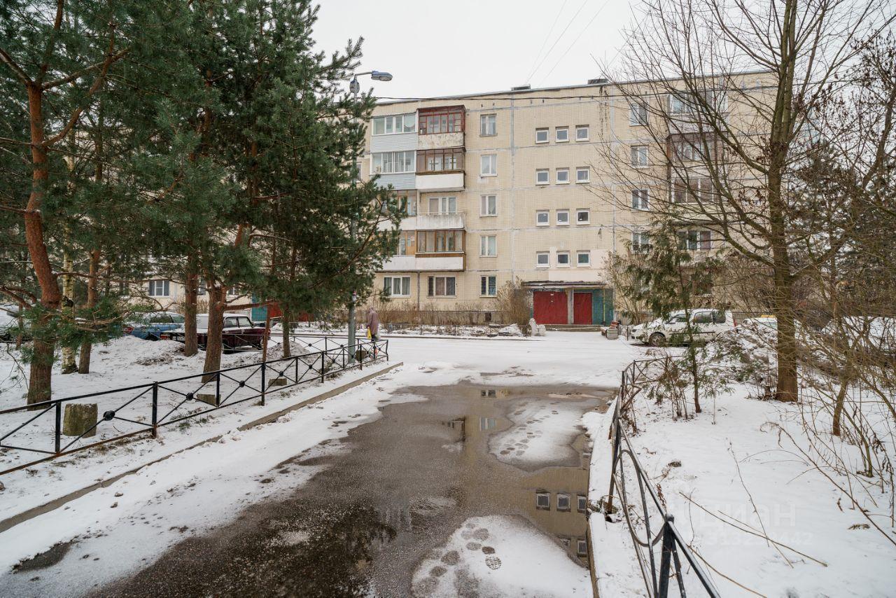 квартира г Санкт-Петербург п Парголово Пригородный ул Первого Мая 97 Ленинградская область, Выборгский район фото 20