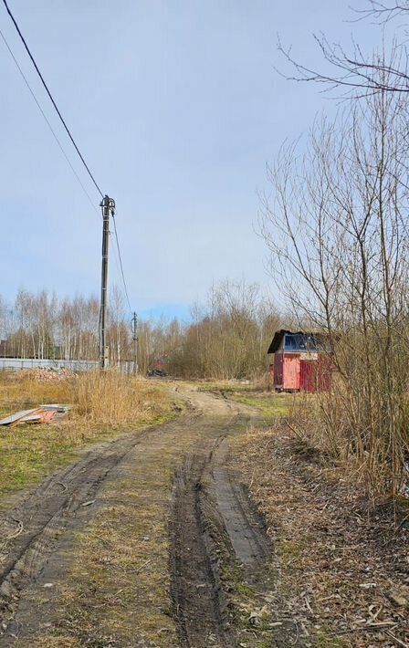 земля городской округ Богородский г Ногинск снт Семья 74 фото 5