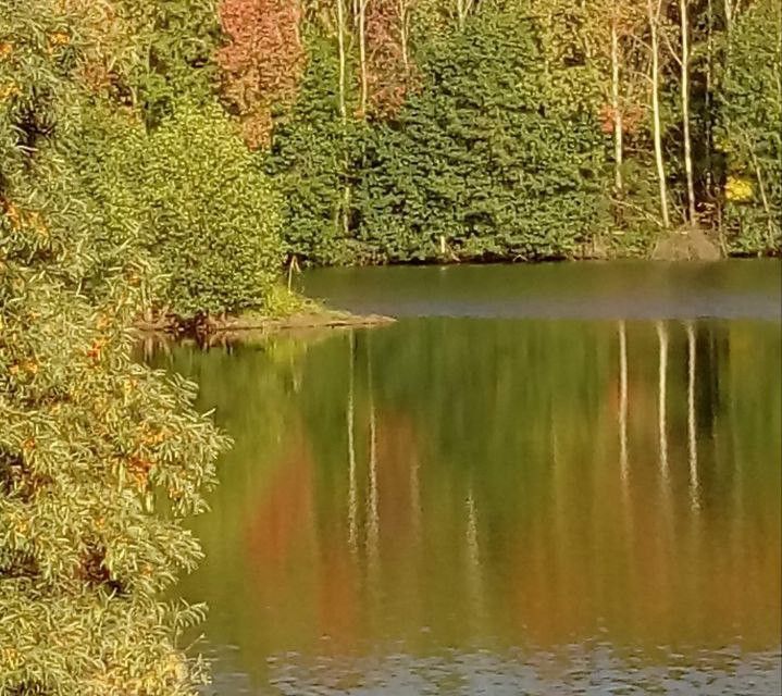 квартира городской округ Раменский п Гжельского кирпичного завода 13 фото 8