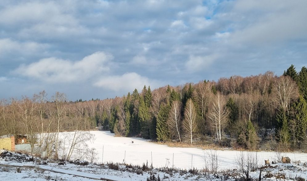 дом городской округ Солнечногорск д Соколово Зеленоград — Крюково фото 4