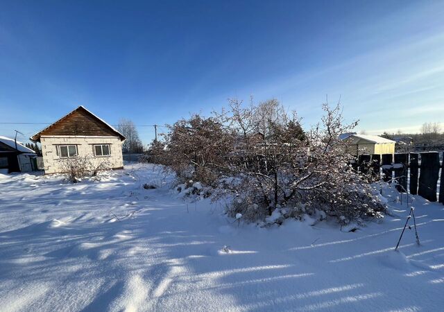 Тюневское сельское поселение, болото Малый Штакуль, Тюмень фото