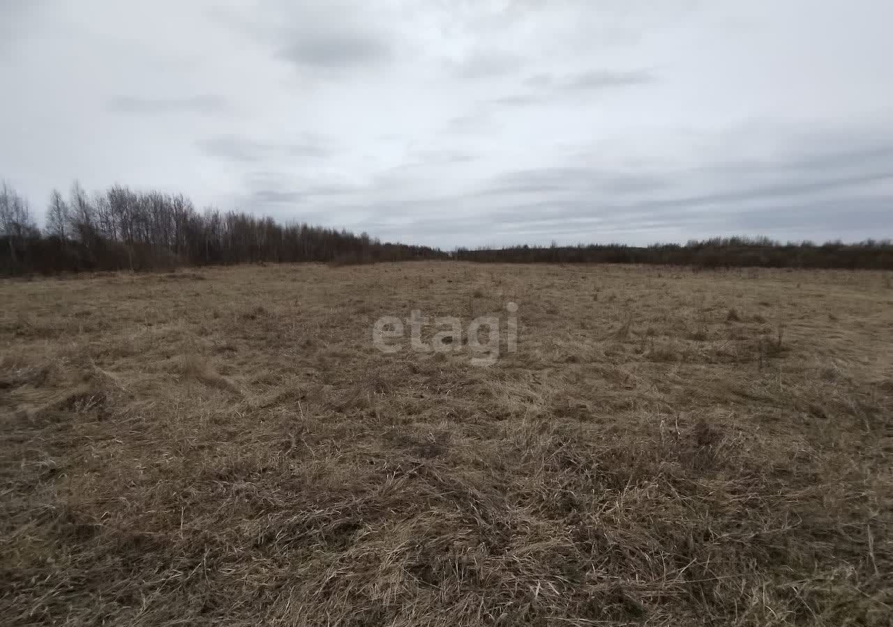 земля р-н Тобольский д Башкова Башковское сельское поселение, Тобольск фото 2