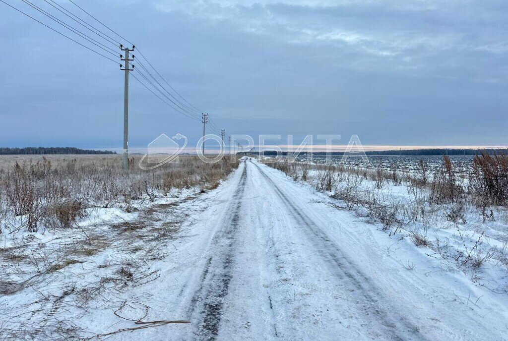 земля р-н Тюменский с Горьковка фото 1