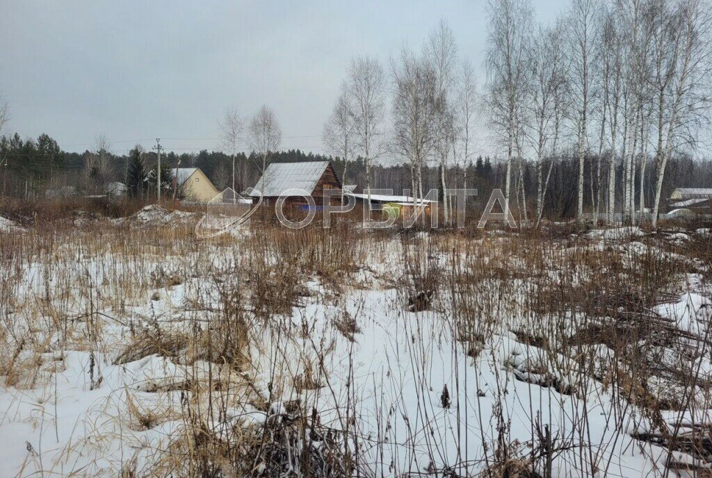 земля р-н Нижнетавдинский с Тюнево ул Новая фото 2